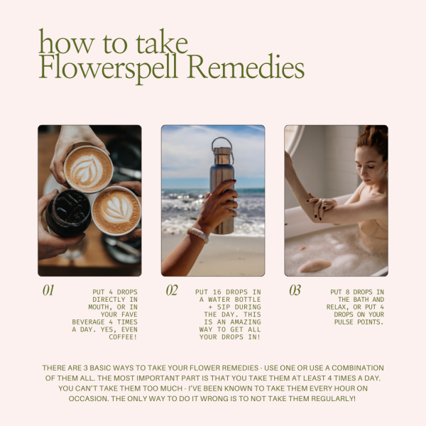 Flowerspell ~ Intuitively Chosen Remedy Online Sale