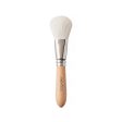 Bisyodo FU-C Cheek Brush, Futur Series Online Hot Sale