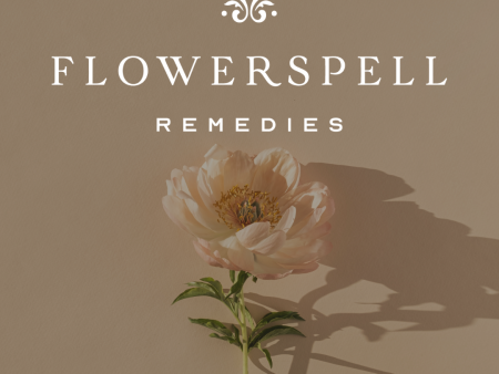 Flowerspell ~ Intuitively Chosen Remedy Online Sale