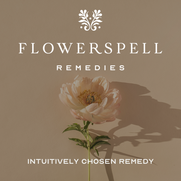 Flowerspell ~ Intuitively Chosen Remedy Online Sale