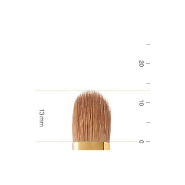 Bisyodo BS-ES-05 Eyeshadow Brush, Short Series Supply