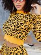 Crop Top With Skirt Leopard Print Set Discount