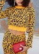 Crop Top With Skirt Leopard Print Set Discount