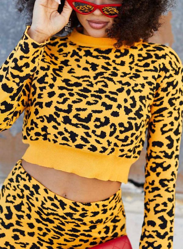 Crop Top With Skirt Leopard Print Set Discount